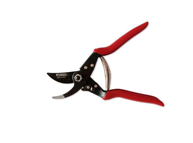 Pruner
